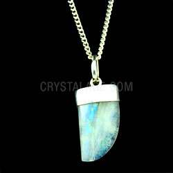 14mm Moonstone Pendant Small Shark Tooth Point