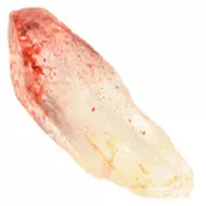Harlequin Quartz Healing Crystal