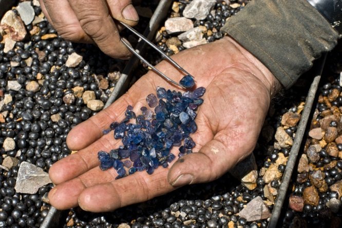 Sapphires from Roberts Yogo Sapphire Mine